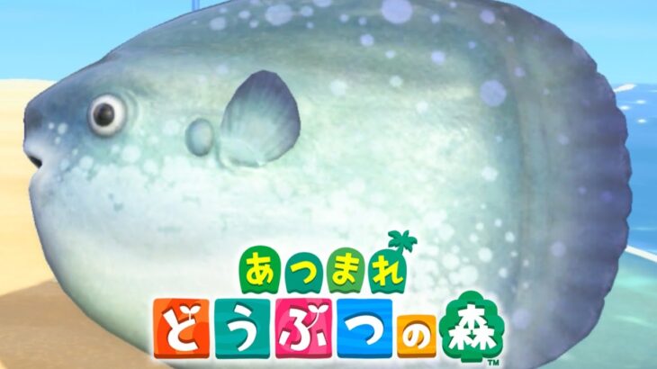 【あつ森】ムシ図鑑コンプリートを目指して #8【あつまれどうぶつの森/あつ森】【式神ありす/個人Vtuber】