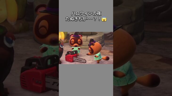 【あつ森】ハロウィンの夜にしずえさんと、まめつぶたちが何やら怪しい儀式を･･･たぬきちが？！😳😱【あつまれどうぶつの森】【どうぶつの森】【ACNH】 #short