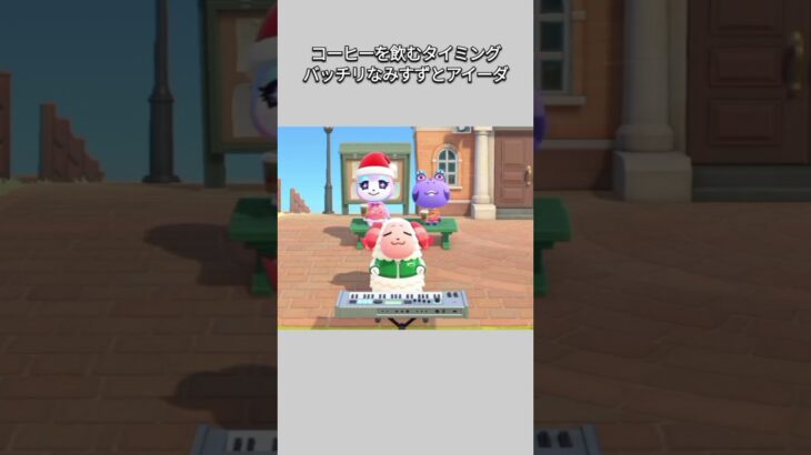 【あつ森】まるで、ちゃちゃまるの伴奏に合わせてコーヒーを飲んでいるかのような、みすずとアイーダ😆タイミングバッチリ✨【あつまれどうぶつの森】【どうぶつの森】【ACNH】 #short