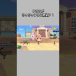 【あつ森】ゆきみの伴奏で歌っていたちゃちゃまるが、今度はクリスチーヌの伴奏で歌っていると･･･ゆきみヤキモチ焼いちゃった？😂😆【あつまれどうぶつの森】【どうぶつの森】【ACNH】 #short