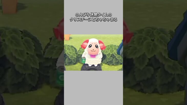 【あつ森】穏やかな秋空に、のんびり休憩するクリスチーヌとちゃちゃまる😊✨【あつまれどうぶつの森】【どうぶつの森】【ACNH】 #short