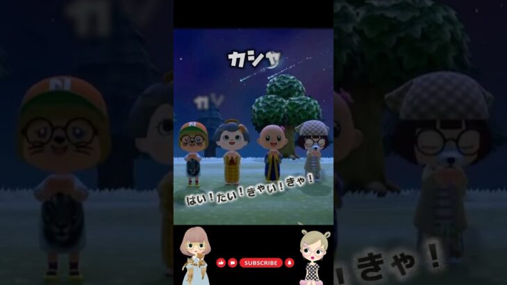 みんなで流れ星に祈りたい💫 #あつ森 #あつまれどうぶつの森 #流星群 #ACNH #shorts