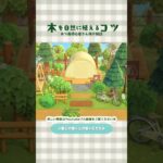 【あつ森】木を自然に植えるコツ🌳初心者向け解説🔰マイデザ無し【ACNH/島クリ】#shorts