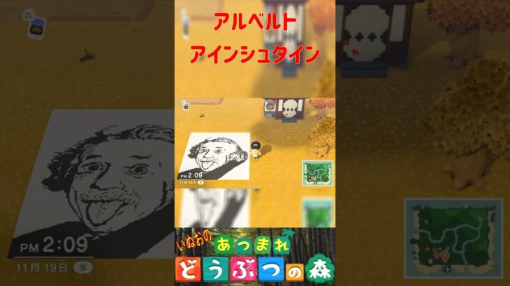 【あつ森】Albert Einsteinを描いてみた。＃あつもり＃マイデザイン #animalcrossing
