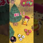 【あつ森】華麗にハチ🐝を捕まえちゃった(ﾉ≧ڡ≦)☆(本人が一番驚いてるけど😅)#どうぶつの森 #AnimalCrossing #ACNH #NintendoSwitch