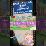 【あつ森】奇跡のタイミング。島リセット直後に知らされる大型アプデ【COEIROINK】　#Shorts　#あつまれどうぶつの森　#あつ森