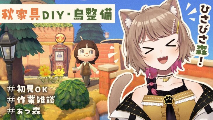 【あつ森】ひさしぶりに森だよ🎵秋家具DIYと島整備【 #すてねこらいぶ 】