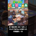 【あつ森】マルチでGO！あつ森珍場面 #acnh #animalcrossing #ゲーム #あつ森　#あつ森vlog #あつまれどうぶつの森