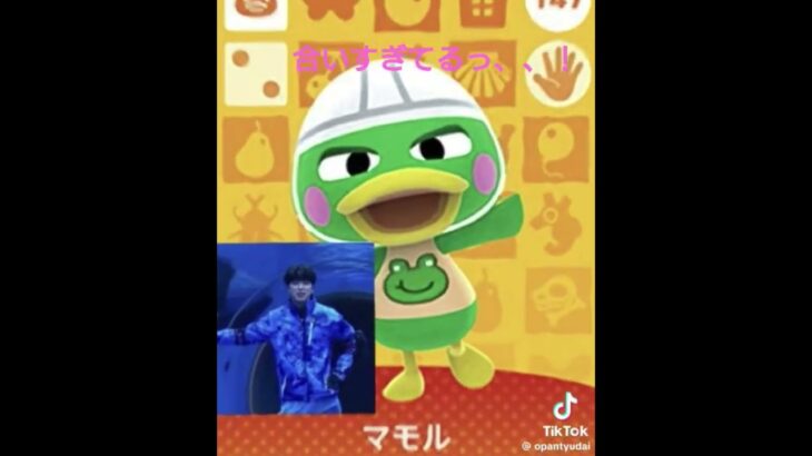 JO1をあつ森の住民に例えたら、、？！