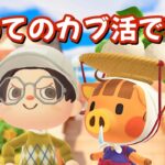【あつ森】人生初のカブ活やります！アプデに向けてベルを稼ぎたいLIVE配信【あつまれ どうぶつの森】