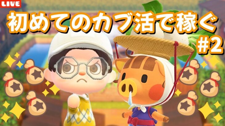 【あつ森】カブ活リベンジだ！アプデに向けてベルを稼ぎたいLIVE配信【あつまれ どうぶつの森】