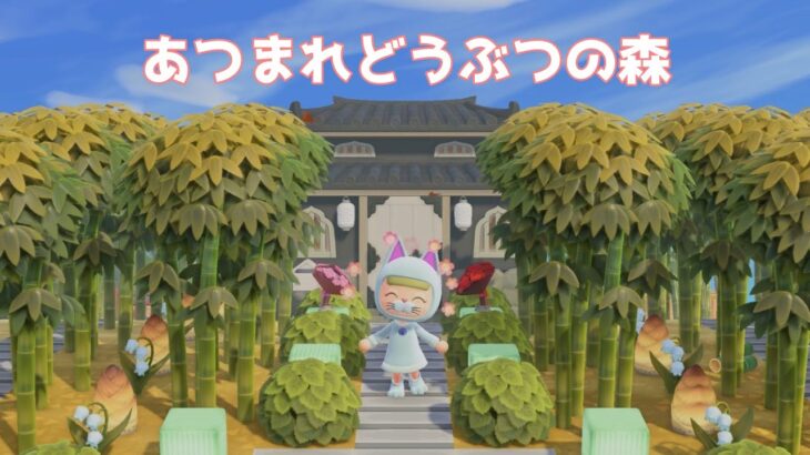 LIVE【あつ森】がっつり!まった～りあつまれどうぶつの森