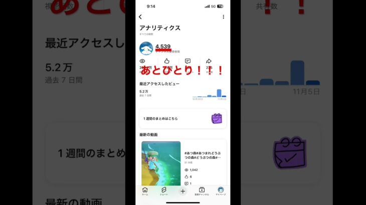 #あとひとり#あとひとりコール#ゆっちゃんねる#シナモン推し#シナモン#あつ森#あつまれどうぶつの森#任天堂#ニンテンドー#Nintendo#switch#スイッチ#ゲーム#ゲーセン#サンリオ