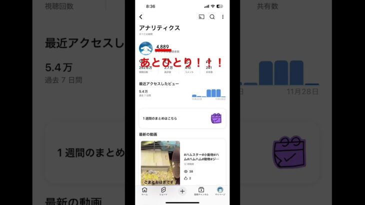 #あとひとり#あとひとりコール#ゆっちゃんねる#シナモン推し#シナモン#あつ森#あつまれどうぶつの森#任天堂#ニンテンドー#Nintendo#switch#スイッチ#ゲーム#ゲーセン#サンリオ