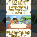 見逃されなかった( Ŏ﹏Ŏ)うぐぐ…🐝 #あつ森 #あつまれどうぶつの森