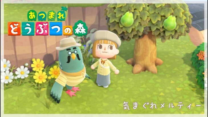 【あつ森Part18】喫茶店オープン&島を更地にしたいんじゃ🐦🪏ー気まぐれ生配信ー