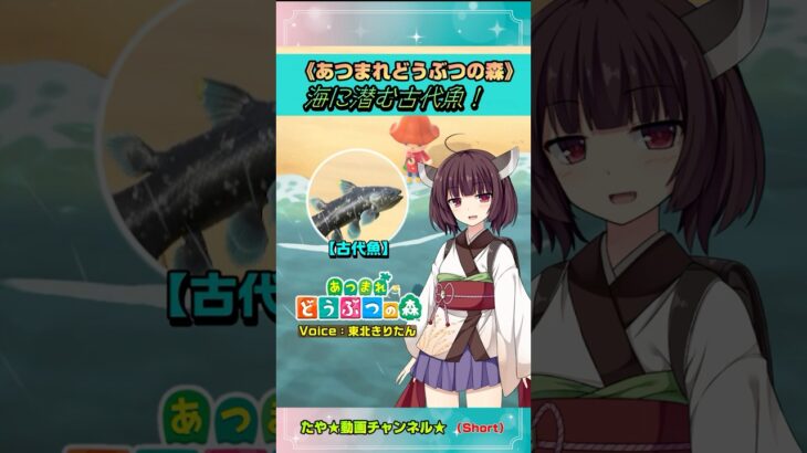 【あつまれどうぶつの森】あつ森！海に潜む古代魚！#Short #東北きりたん 【あつ森】