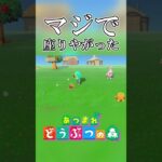 【あつ森】隙を見せたら、しっかり着席してくる #Shorts #あつ森