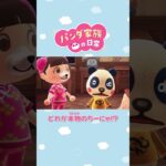 【あつ森アニメ】どれが本物のちーにゃ！？ #Shorts #あつ森