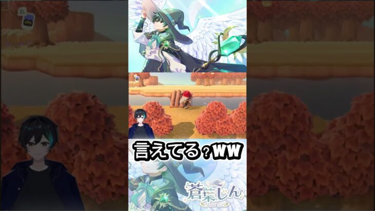 名前長めだよね#あつまれどうぶつの森#Switch#あつ森