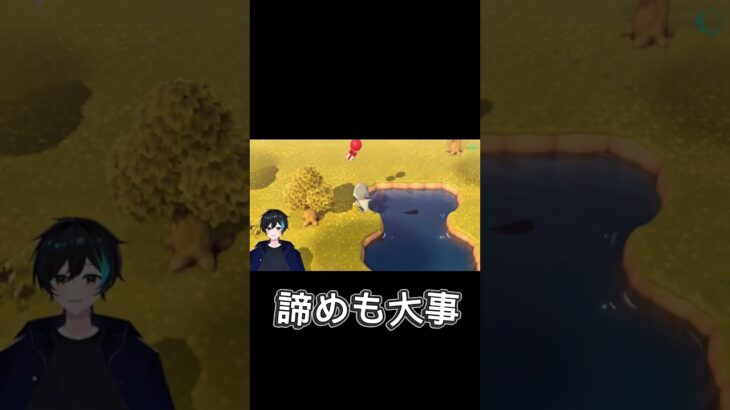 やり方分からんでした #あつ森 #Switch2#あつまれどうぶつの森