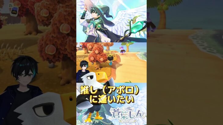 推しっていいよね#あつまれどうぶつの森 #あつ森 #Switch2