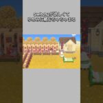 【あつ森】Switch2がなかなか手に入らないちゃちゃまる🥺ゆめみに頼んでみたけど･･･やっぱり夢だからダメだった😂【あつまれどうぶつの森】【どうぶつの森】【ACNH】 #short