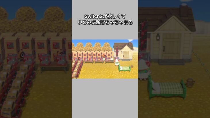【あつ森】Switch2がなかなか手に入らないちゃちゃまる🥺ゆめみに頼んでみたけど･･･やっぱり夢だからダメだった😂【あつまれどうぶつの森】【どうぶつの森】【ACNH】 #short