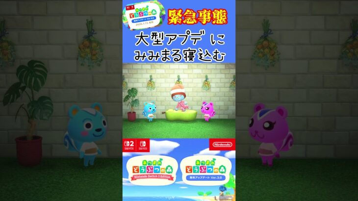 【あつ森】無料大型アップデートVer.3.0で緊急事態発生？！ #shorts
