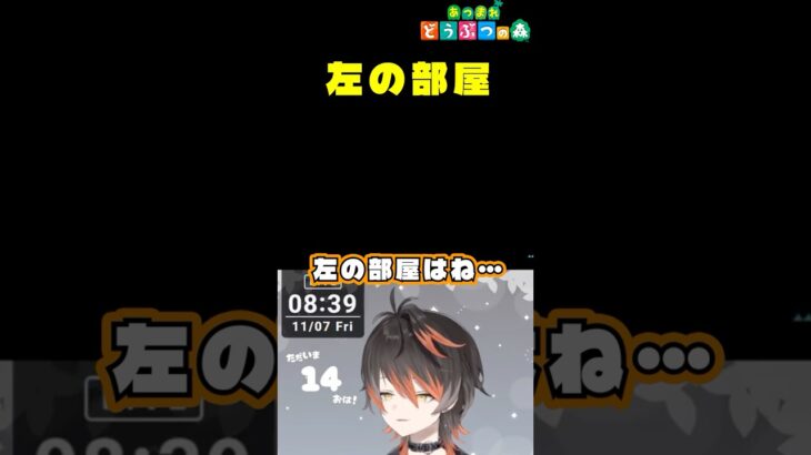【あつ森】左の部屋【新人Vtuber #黒々ノイヌ 】
