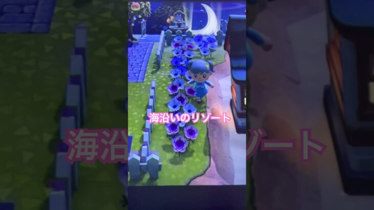 光る家具最強🥹＃あつ森＃島クリ＃あつまれどうぶつの森＃acnh＃ビーチ