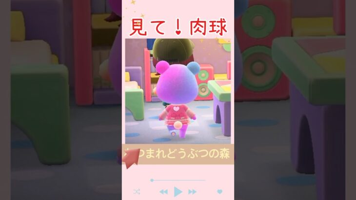 【あつ森】肉球可愛い💕#あつ森#acnh#あつまれどうぶつの森#癒し#マイデザ無し
