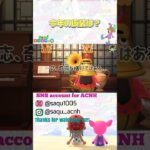 【今年の仮装は？】#あつ森 #acnh #どうぶつの森 #animalcrossing #あつ森ショート #short #ハロウィン #コスプレ