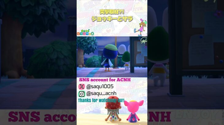 【ジョッキーとサラ】#あつ森 #acnh #どうぶつの森 #animalcrossing #あつ森ショート #short #突撃カメラマン