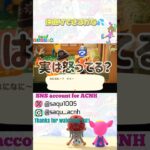 【仲直りできるかな💦】#あつ森 #acnh #どうぶつの森 #animalcrossing #あつ森ショート #short