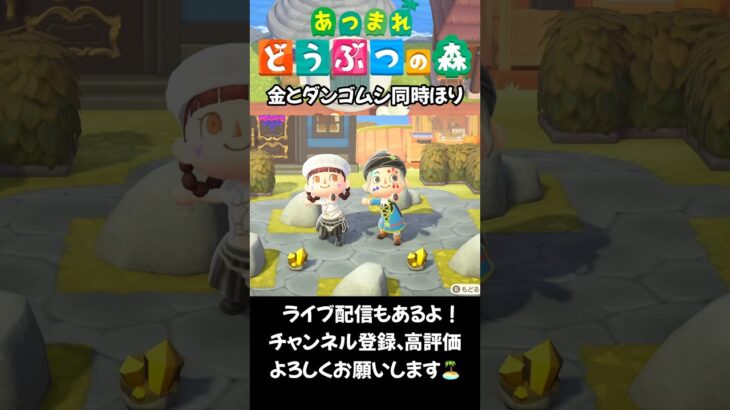 【あつ森】金とダンゴムシ同時ほり #acnh #ゲーム #animalcrossing #あつ森vlog #あつ森 #あつまれどうぶつの森