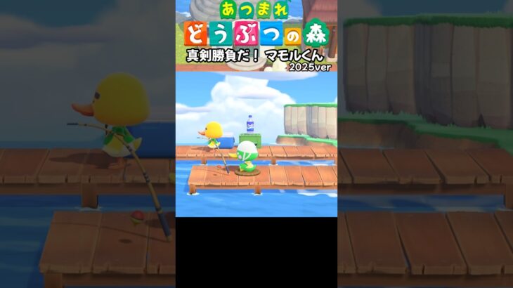 【あつ森】真剣勝負だ！マモルくん #acnh #あつ森  #animalcrossing #あつまれどうぶつの森 #あつ森vlog #ゲーム