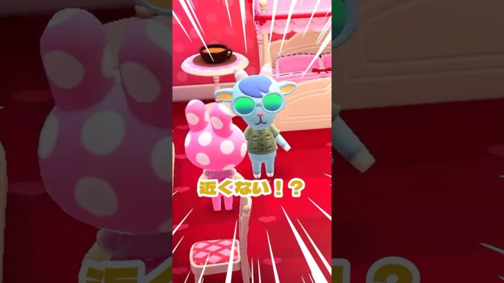 【あつ森】モテすぎクリスチーヌちゃんのまた別の日。 #あつ森 #あつまれどうぶつの森 #acnh #shorts