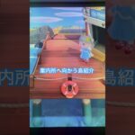 飛行場から案内所へ向かう島紹介 #あつ森 ＃島紹介＃acnh＃あつまれどうぶつの森＃animalcrossing