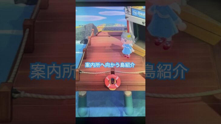 飛行場から案内所へ向かう島紹介 #あつ森 ＃島紹介＃acnh＃あつまれどうぶつの森＃animalcrossing