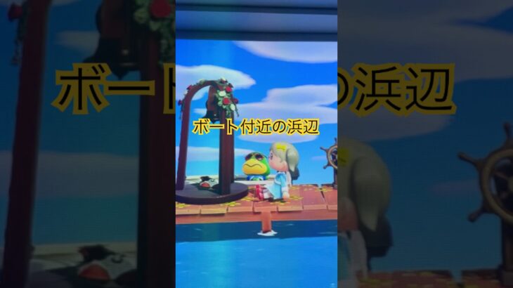 浜辺の紹介 #あつ森 ＃島クリ＃acnh＃animalcrossing＃どうぶつの森