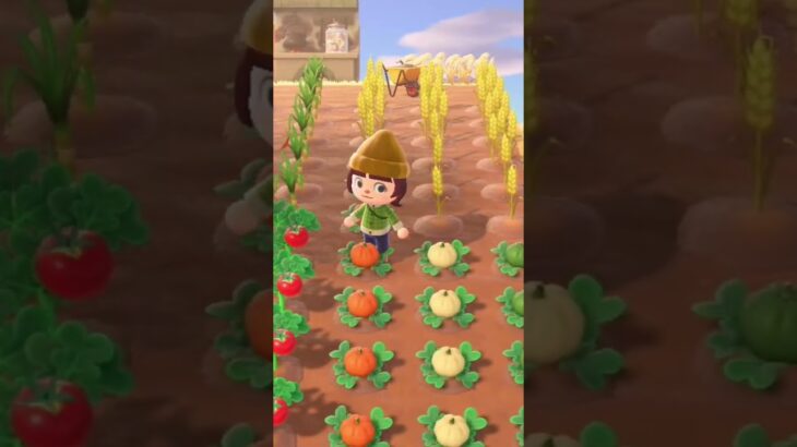 秋のおさんぽ🍂 #あつまれどうぶつの森 #animalcrossing #あつ森 #あつ森