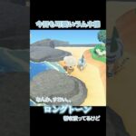 今日も可愛いラムネ氏 #あつ森 #animalcrossing #あつまれどうぶつの森