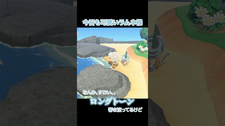 今日も可愛いラムネ氏 #あつ森 #animalcrossing #あつまれどうぶつの森