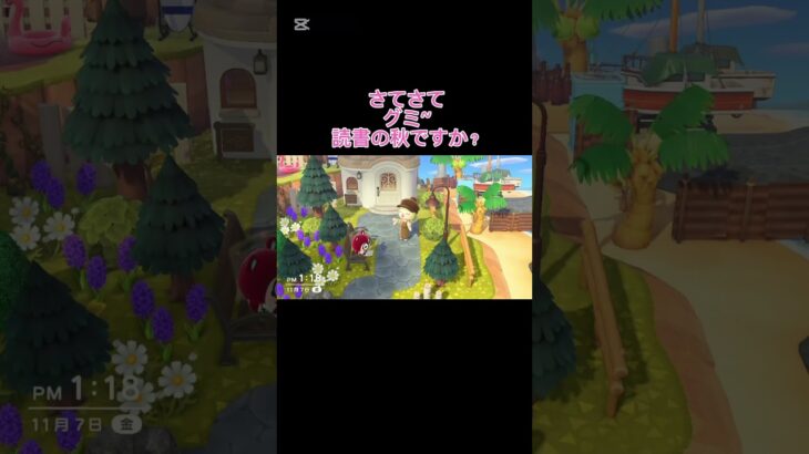 【#あつ森#animalcrossing  】アサリ採りに行こっか〜