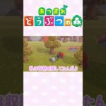 【あつ森】バタバタの後は？？？ #ゲーム実況 #animalcrossing