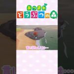 【あつ森】魚釣りは難しい　ラグ？キャラコン？ #ゲーム実況 #animalcrossing