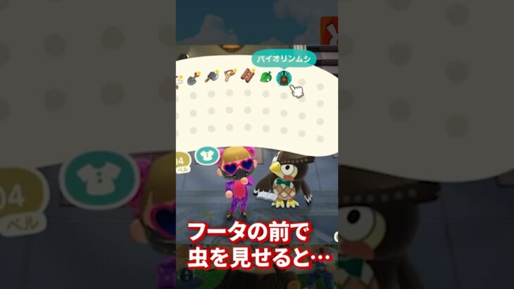 フータ虐 #あつ森 #あつもり #あつまれどうぶつの森 #ゲーム実況 #どうぶつの森 #animalcrossing