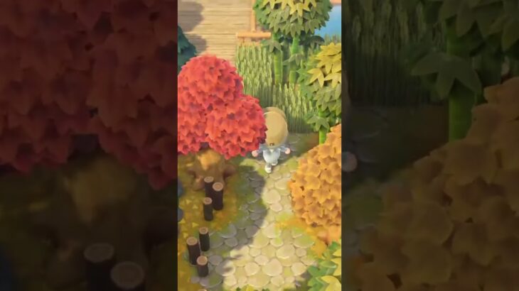 #あつ森 #紅葉#島クリエイト#animalcrossing
