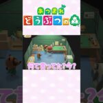 【あつ森】たぬきローン始まります！家が建ちます！！　#ゲーム実況 #animalcrossing